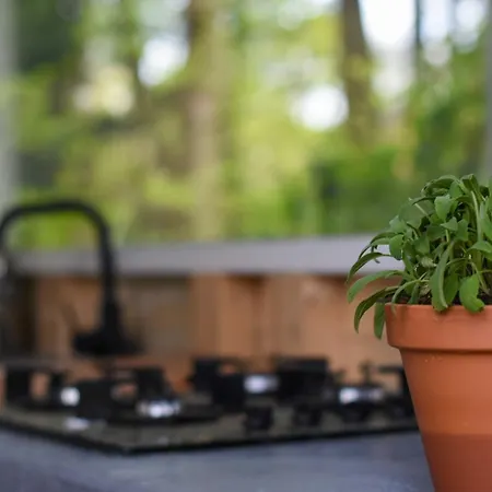 Klein Nieuwe Wegen Frühstückspension