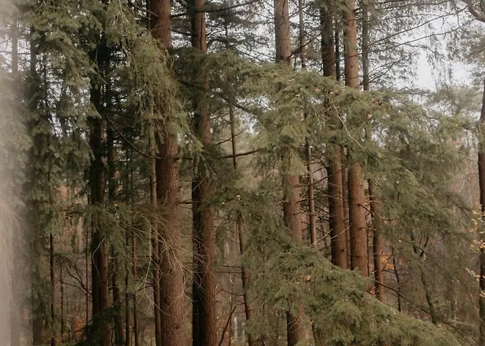 Klein Nieuwe Wegen Frühstückspension