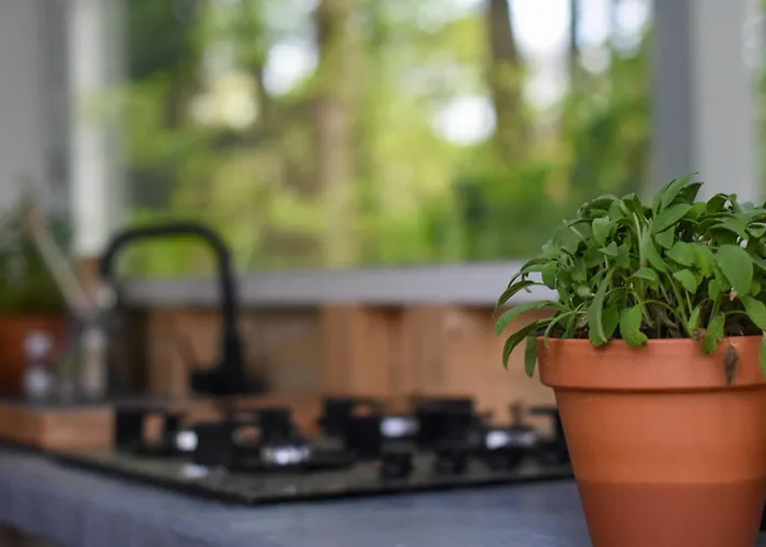 Klein Nieuwe Wegen Bed & Breakfast